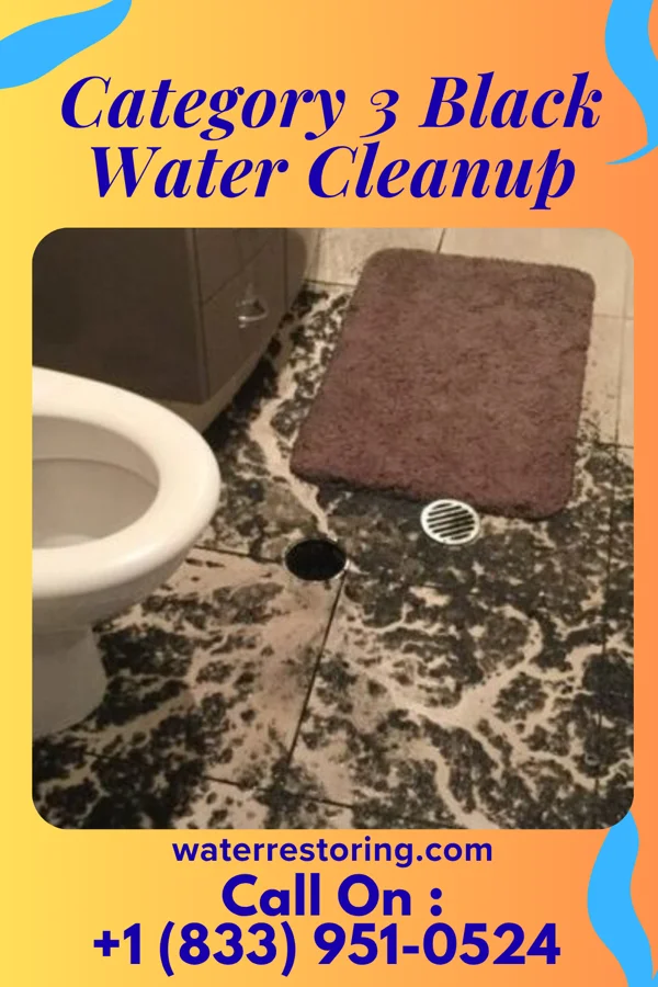 Category 3 Black Water Cleanup in North Palm Beach, FL